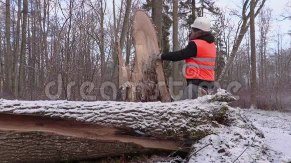 林中破树附近有电话的伐木工人视频的预览图
