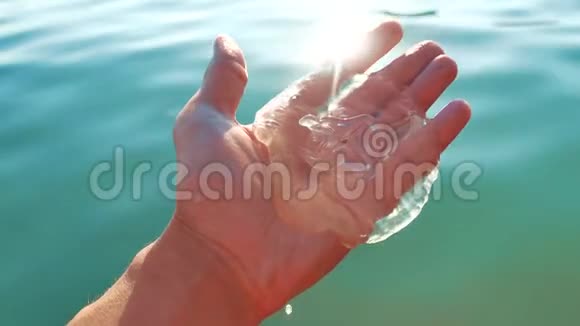 水母在海滩上日落背景水母通过手中的太阳射线和海平面照射透明透明视频的预览图