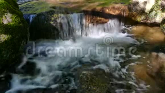 保加利亚索非亚附近的维托沙自然公园金桥区溪水景观视频的预览图