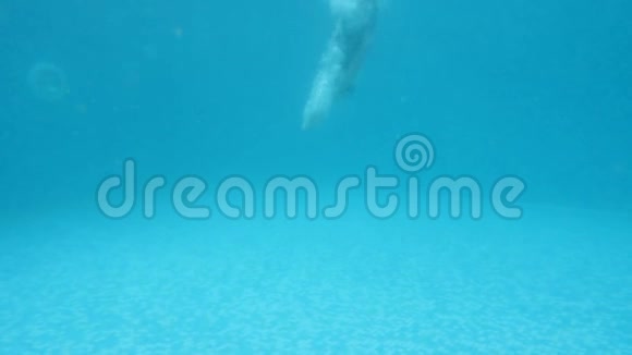 布鲁内特少女在水下游泳水下射击4k慢动作视频的预览图