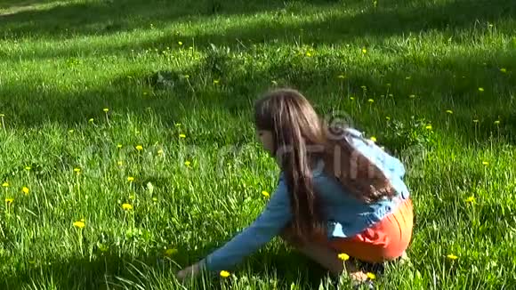 在草地上采摘黄色蒲公英的女孩蒲公英春天美丽的微笑少年与春天公园视频的预览图