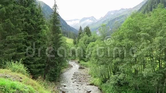 有草地和溪流的齐勒塔尔山谷景观位于蒂罗尔的舍纳奇塔尔山谷奥地利视频的预览图