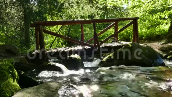 保加利亚索非亚附近的维托沙自然公园金桥区溪水景观视频的预览图
