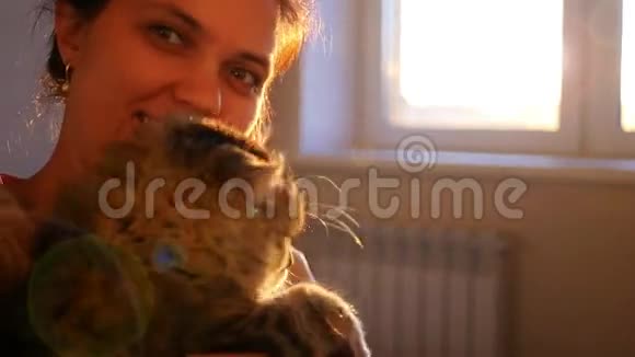 夕阳背景下女孩手上的一只小猫视频的预览图