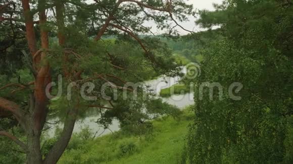 从沃里亚河及其绿色河岸俯瞰二战期间德国的立场视频的预览图