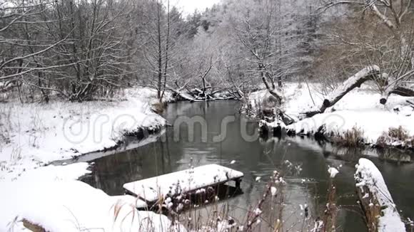 冬季河塘视频forest视频的预览图