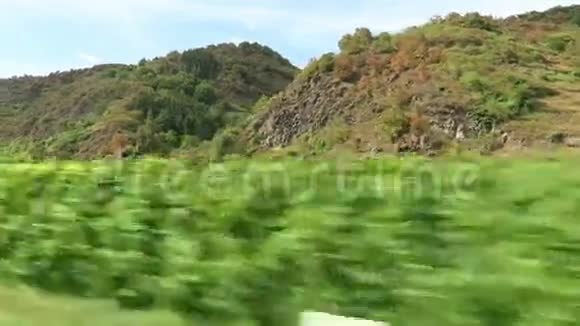 沿着莱茵兰法尔茨的莫赛尔河山丘的葡萄园行驶德国视频的预览图