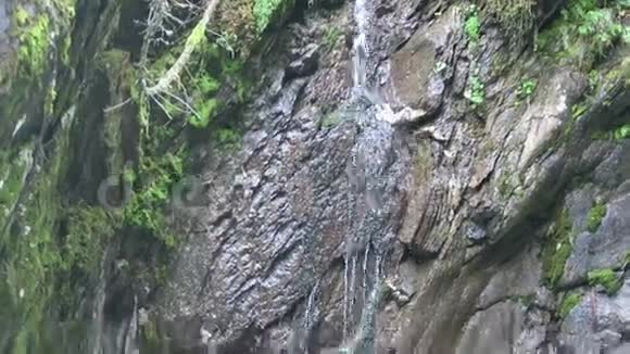 观赏m野地格罗斯塔尔莱特尔尼卡姆克拉姆峡谷的水蒂罗尔奥地利视频的预览图