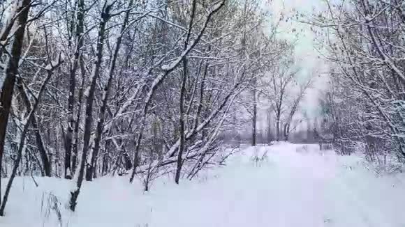 冬季平静的景观与道路视频的预览图