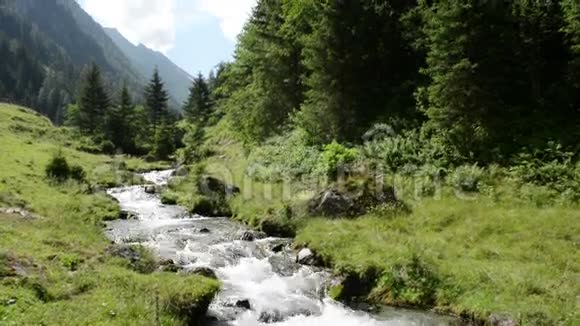 ZillertalvalleySchwarzachtal的森林和野生溪流奥地利视频的预览图