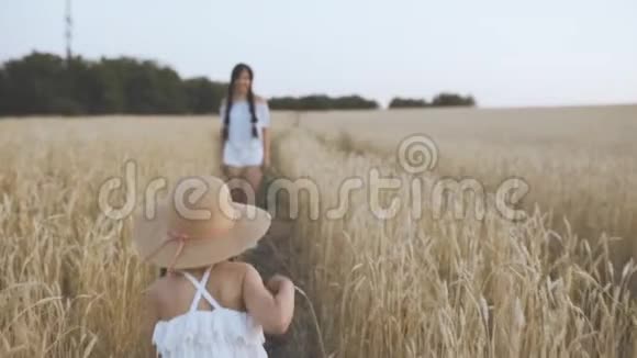 女儿在麦田里奔跑拥抱母亲视频的预览图