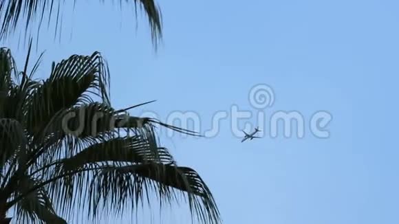 通过在蓝天上飞行的飞机上的棕榈树的叶子观看飞机飞过黄色的大楼视频的预览图