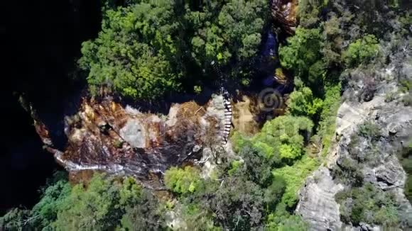 国家公园的小溪森林里的小溪高空俯视图视频的预览图