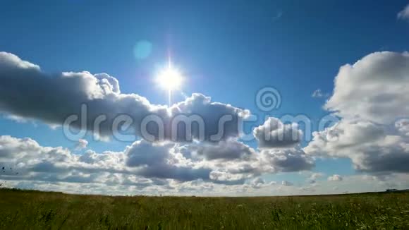 绿草如茵的田野和完美的天空蒲公英的田野蓝天和太阳绿野蓝天和太阳视频的预览图