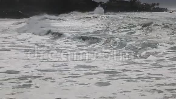 威美亚湾视频的预览图