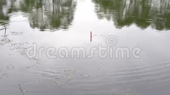 好咬鱼小雨鲤鱼大抓鱼视频的预览图