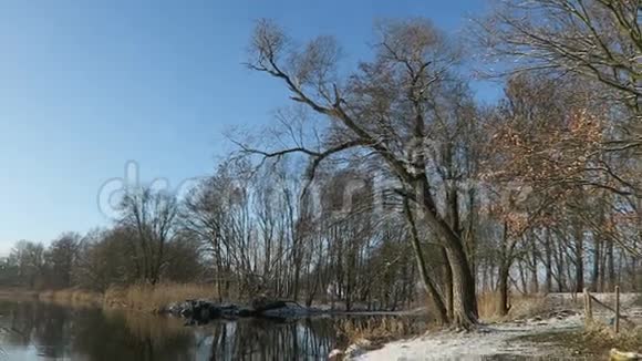 哈维尔河景观勃兰登堡德国冬季与冰雪流动水视频的预览图