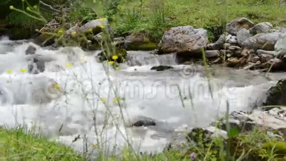 ZillertalvalleySchwarzachtal的森林和野生溪流奥地利视频的预览图