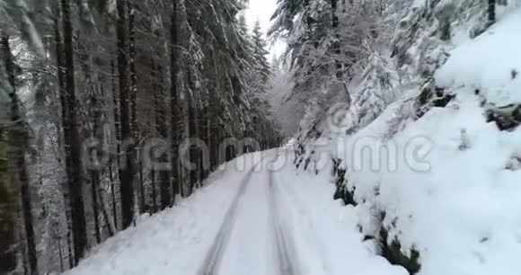 冬天的森林道路上有雪视频的预览图