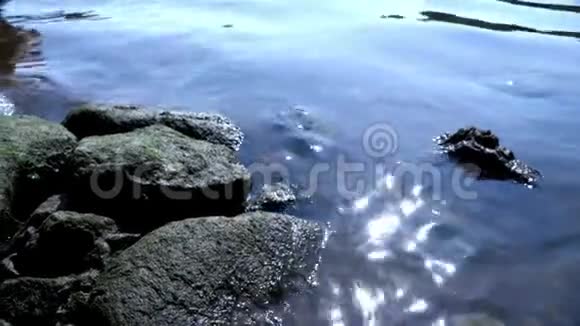 河流背景石头和河水视频的预览图