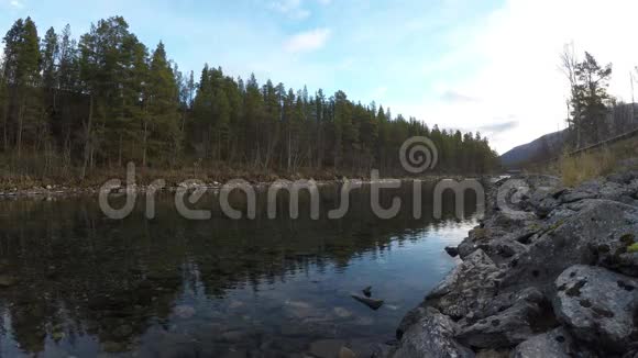 深林深秋平静的河水视频的预览图