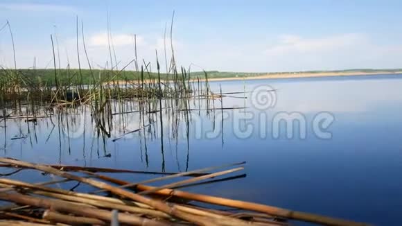 乌克兰的水库一个简单的景观视频的预览图