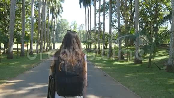 年轻女子沿着异国风情的公园小巷在棕榈树观赏暑假出行理念背面视图视频的预览图