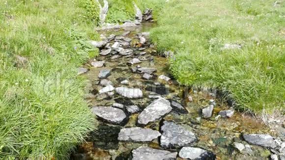 夏天在田园诗般的无污染环境中流淌的小溪流穿过意大利阿尔卑斯山上的绿色草地视频的预览图