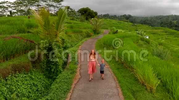 一名年轻女子和她的儿子沿着巴厘岛美丽的稻田散步的空中镜头视频的预览图