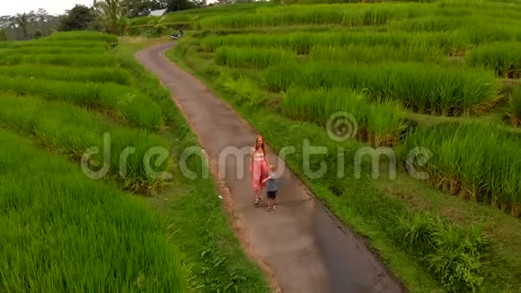 一名年轻女子和她的儿子沿着巴厘岛美丽的稻田散步的空中镜头视频的预览图