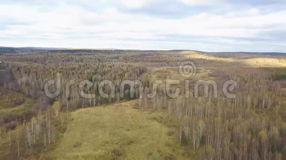 秋天的傍晚在云层下鸟瞰森林剪辑秋季森林地区的俯视图视频的预览图