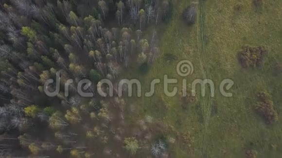 秋天的傍晚在云层下鸟瞰森林剪辑秋季森林地区的俯视图视频的预览图