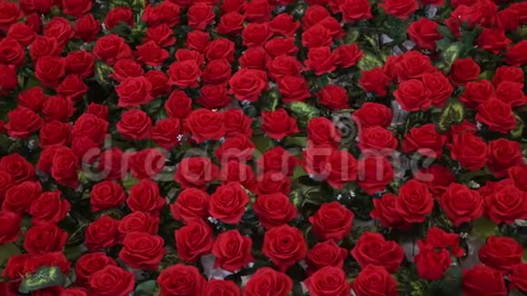 情人节的红玫瑰装饰运动视频的预览图