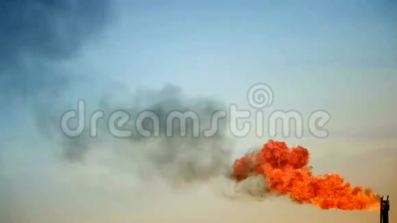 气体火焰视频的预览图