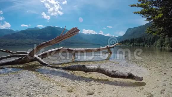 4K令人惊叹的博欣吉湖夏季时光流逝全景朱利安阿尔卑斯山特里格拉夫国家公园斯洛文尼亚欧洲视频的预览图