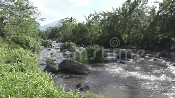 热带雨后的深山河在岩石河岸上生长着茂密的异国森林令人惊叹的河流景观视频的预览图