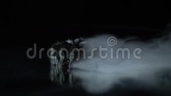 黑色狼蛛坐在烟雾中动作缓慢视频的预览图