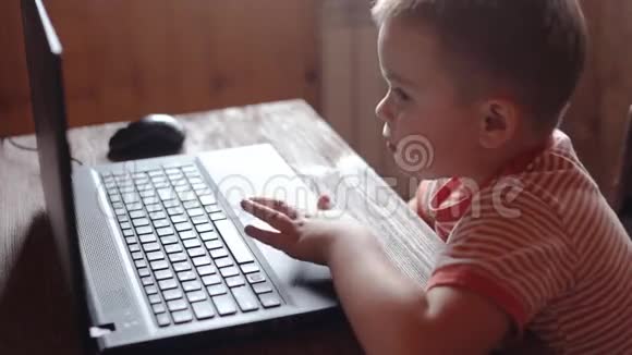 小男孩用笔记本电脑视频的预览图