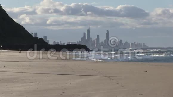 清晨遛狗在澳大利亚昆士兰黄金海岸棕榈滩北端视频的预览图