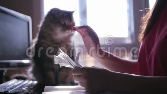 女孩整理文件抚摸猫慢动作高清视频的预览图