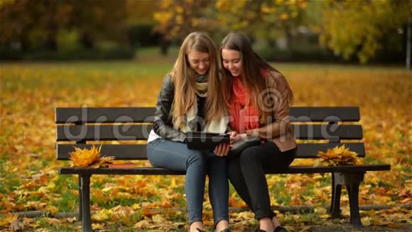 两名女子在秋园的长凳上使用数码平板电脑女朋友在电脑上嬉笑玩耍视频的预览图