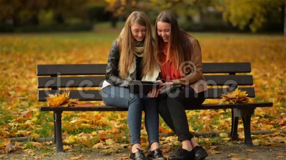 两名女子在秋园的长凳上使用数码平板电脑女朋友在电脑上嬉笑玩耍视频的预览图