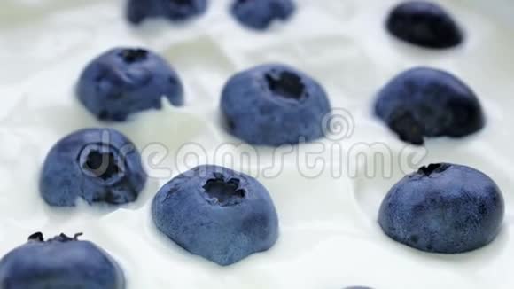 特写蓝莓在天然酸奶旋转无缝循环4K水果背景视频的预览图