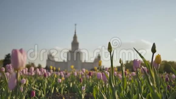 罗蒙诺索夫州立大学俄罗斯莫斯科标志性建筑和观光多种背景下的射击视频的预览图