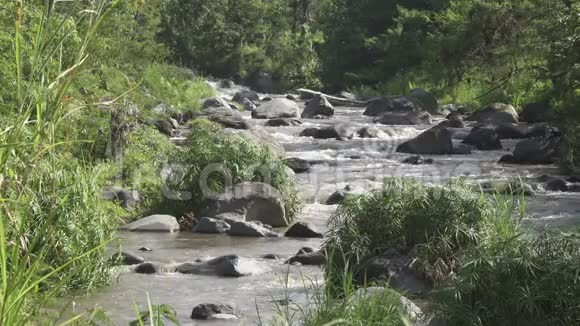 热带雨后的深山河在岩石河岸上生长着茂密的异国森林令人惊叹的河流景观视频的预览图