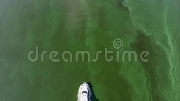 空中观景河游艇视频的预览图
