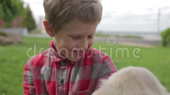 孩子抚摸和拥抱他的宠物动物朋友小男孩在公园里和他的狗玩视频的预览图