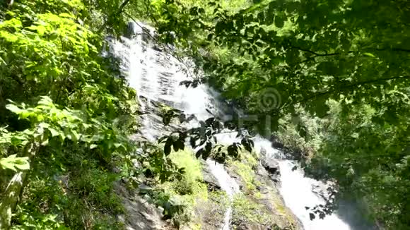 佐治亚州阿莫科拉瀑布夏天从树木中俯瞰阿莫科拉瀑布的广阔景色视频的预览图