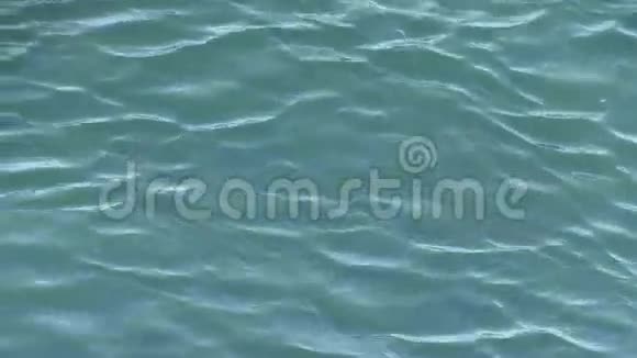 在澳大利亚棕榈滩流入海洋之前塔勒布德杰拉溪的交叉水流打开视频的预览图