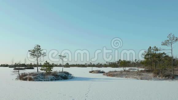 冬天冰冻的岛屿白天干净而寒冷光滑的娃娃射击视频的预览图